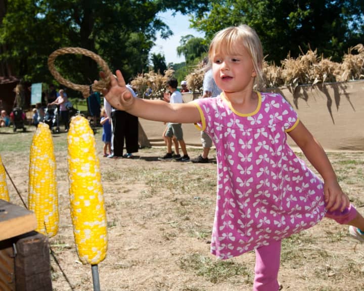 Ring-a-Cob is one of the many activities that will be available at CORNucopia.
