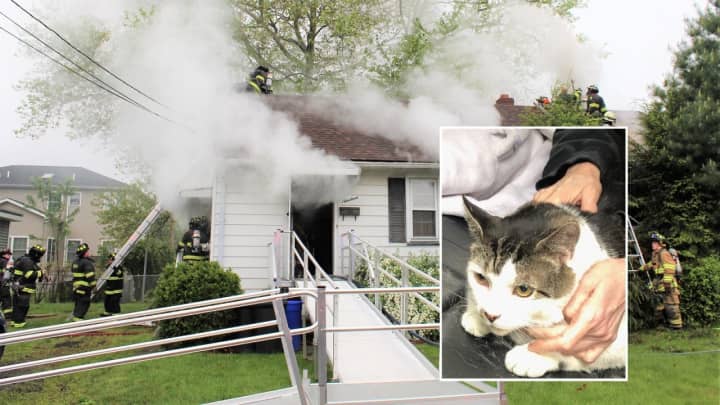 Saddle Brook Police Officer Matt Benus rescued a cat from the Hutter Street fire.