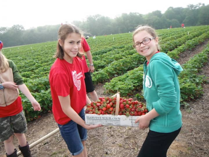 Monroe Congregational Church hosts its annual Strawberry Festival this weekend.