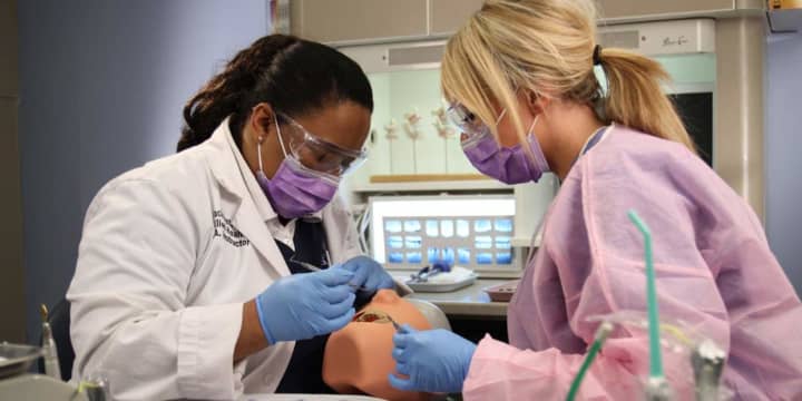 Students can learn how to be dental assistants