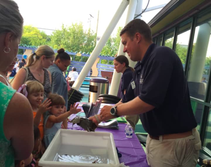 Stepping Stones Museum for Children in Norwalk, Conn., is hosting a literacy event for families Oct. 1. A Maritime Aquarium shows off a critter to children at a recent program at the museum.