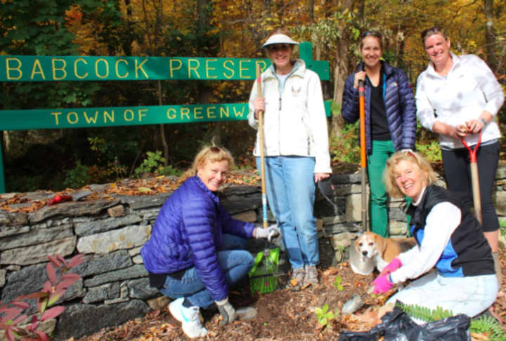 Greenwich Garden Club members recently joined together for their annual fall planting day at the Babcock Preserve.