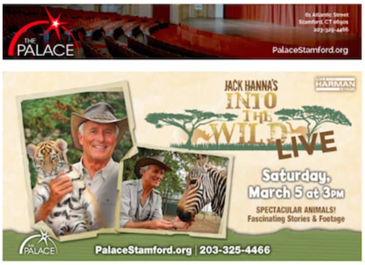 Jungle Jack Hanna Brings Into the Wild LIVE! To Stamford’s Palace Theatre