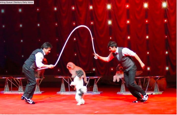 Come see the Olate Dogs, winners of the $1 million prize on &quot;America’s Got Talent,&quot; perform at The Ridgefield Playhouse on Thursday, May 5, at 7 p.m.