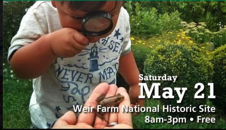 Weir Farm National Historic Site is hosting the National Parks BioBlitz on May 21 in Wilton.