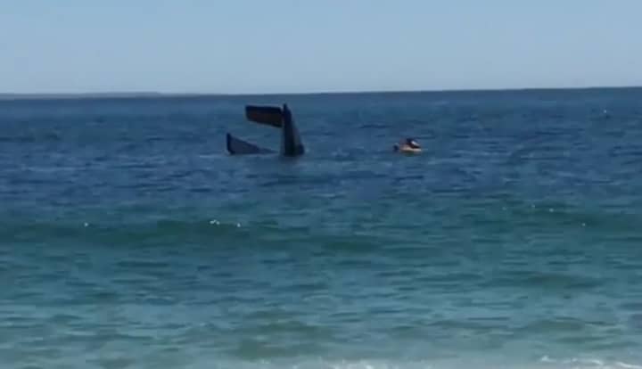 Two lifeguards on a nearby private beach rescued a Somers native whose plane crash landed Saturday near Block Island.