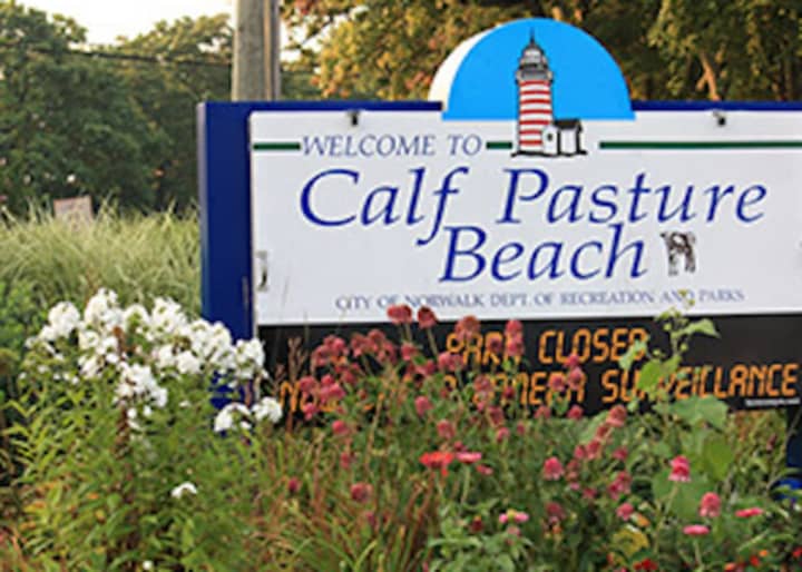 Short but critical life saving drills will be taught at the next four First County Bank Concerts at Calf Pasture Beach in Norwalk. The concerts are held each Wednesday.