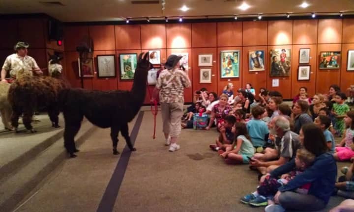 Children enjoy a visit with a llama at an earlier event at the Scarsdale Public Library.