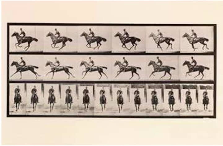 Eadweard Muybridge Plate 632, Animal Locomotion, 1887 Collotype.