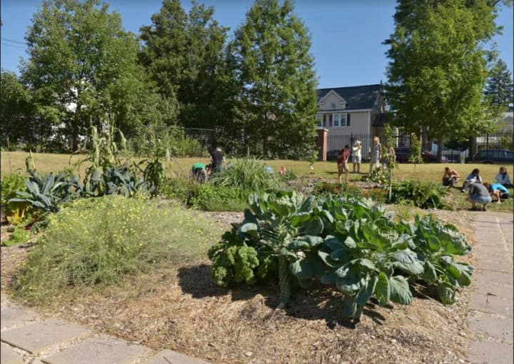 WCSU to host Permaculture Garden ‘Community Day’ on Friday, Sept. 23.