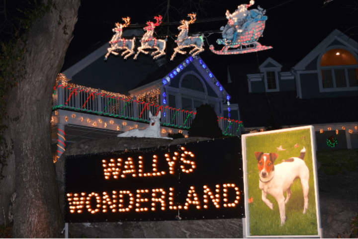 Wally&#x27;s Wonderland in Wilton is named after Wally, Walter Schalk&#x27;s dog.