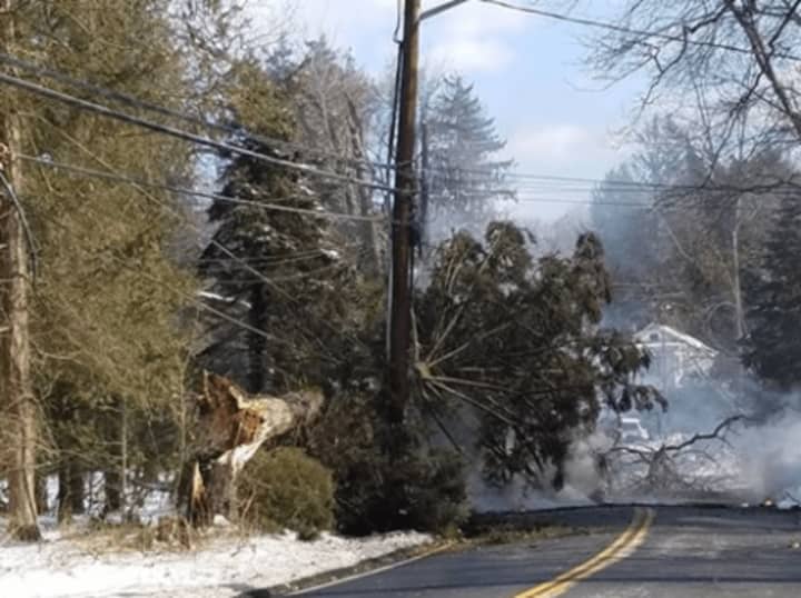 Bardonia Road in Nanuet is closed for the remainder of the day after a large evergreen tree came down early Monday afternoon.