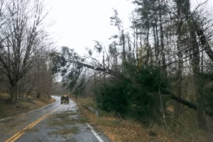 Numerous downed trees are leading to power outages Friday.