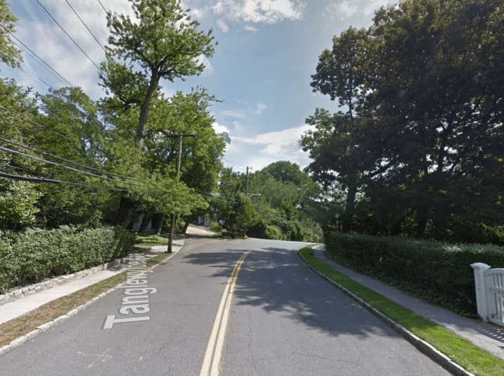 Two teenagers from the Bronx crashed into the bushes on the side of the road on Tanglewylde Avenue while driving under the influence.