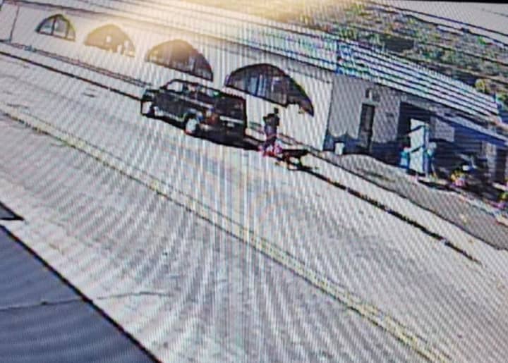 Surveillance video of the woman driving a Honda taking the dog outside the car wash in Yonkers.