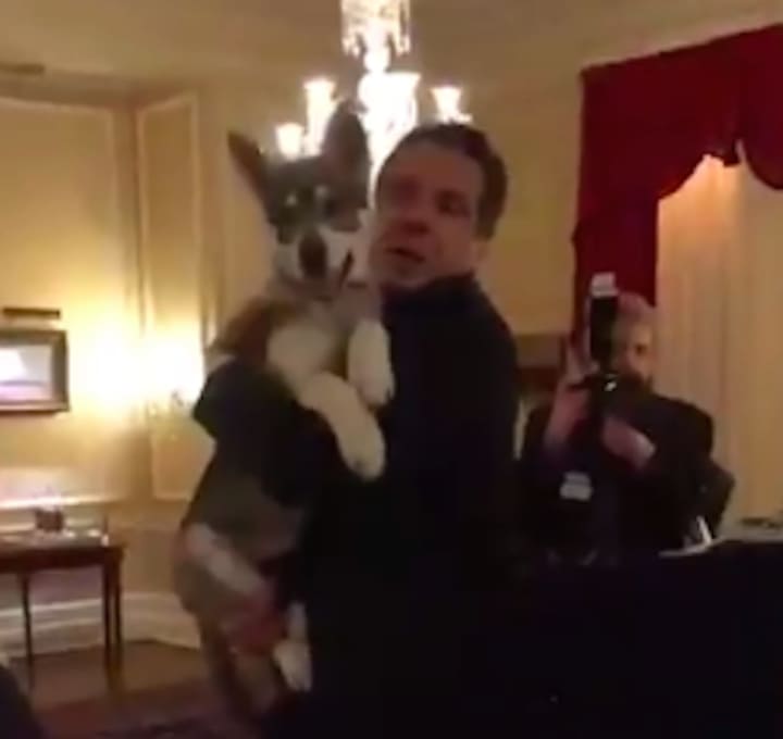 Gov. Andrew Cuomo with his new dog, Captain.