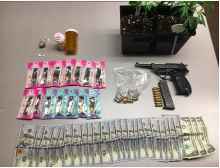 Recovered by police: a loaded 9MM Walther handgun, 2 marijuana plants, concentrated cannabis cartridges, multiple controlled opiate pills, and over two-thousand-dollars in US currency.