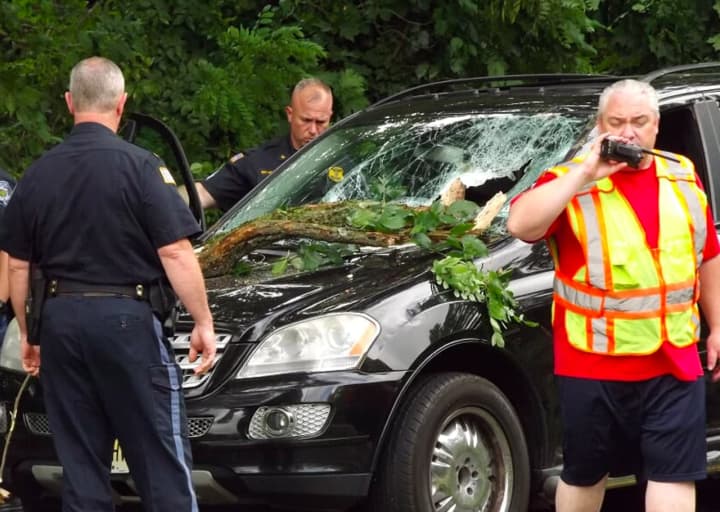 A Mercedes Benz that had just exited Route 208 northbound in Glen Rock afternoon was crushed by a falling tree limb Sunday afternoon.
