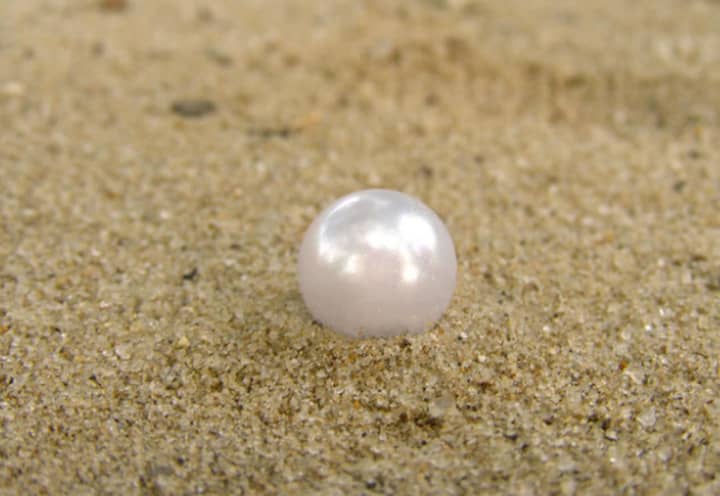 The pearl is apparently worth several thousand dollars.