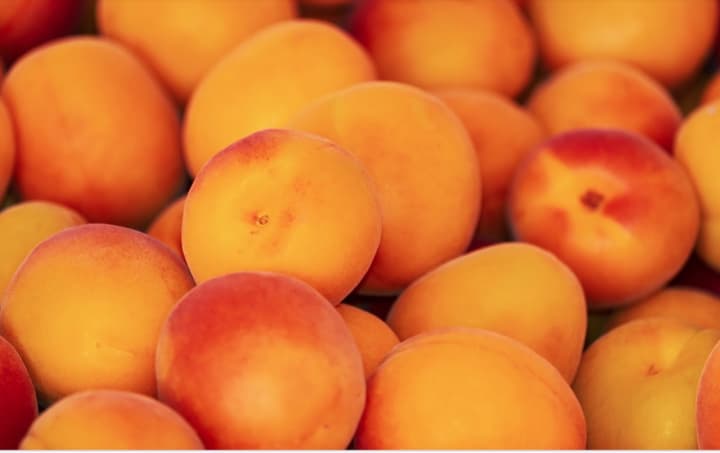 Yonkers-based Jac. Vanderberg has announced a recall of thousands of pounds of fruit.