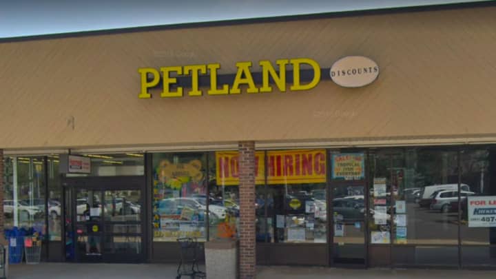 Petland Discount in Westwood is among the 10 New Jersey stores to close.