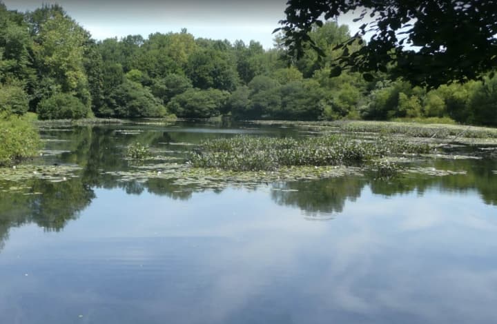 Clark Pond at Eisenhower Park in Milford.