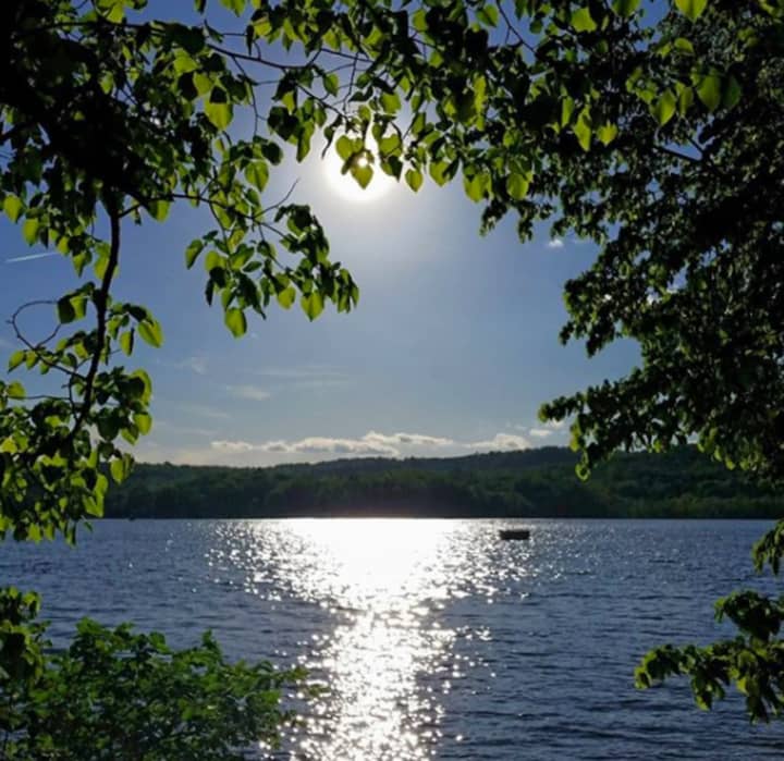 The New Jersey Department of Environmental Protection has temporarily suspended swimming at Swartswood State Park due to a suspected harmful algae bloom.