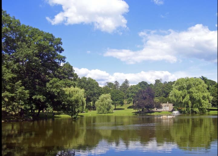 A man was found drowned at Downing Park.