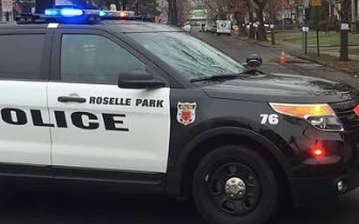 A Newark woman is in critical condition after being struck by a car in Roselle Park, authorities said.