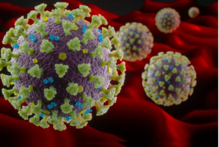 Two new cases of novel coronavirus (COVID-19) have been reported in Stratford.