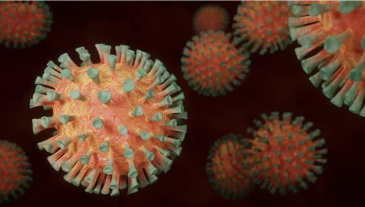 The novel coronavirus death toll has now reached 64 in Westchester.