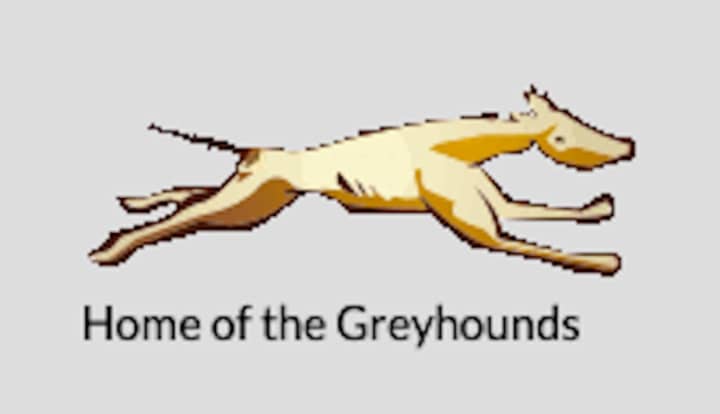 Pleasantville Greyhounds