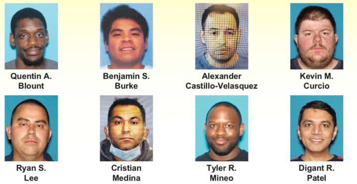 Eight of the 12 men busted in &quot;Operation Spotlight.&quot;