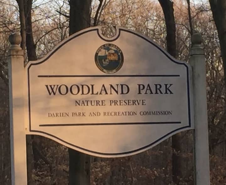 An armed man was taken into custody after being spotted at Woodland Park in Darien.