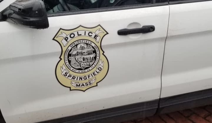 The Springfield Police arrested nine men during a prostitution sting.