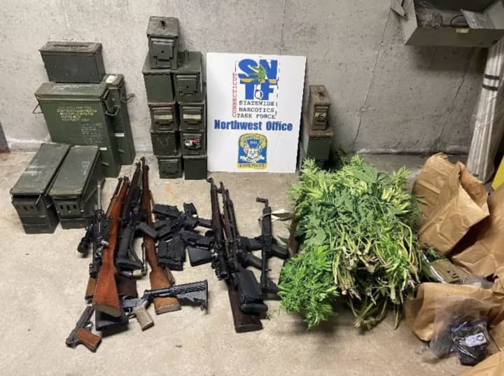 Guns, ammo, and marijuana plants were seized from a New Haven County home.