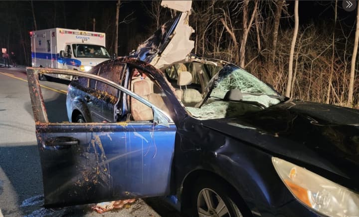 A look at the Subaru Legacy after the collision with the moose.