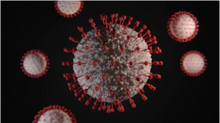 The Delta variant, which now accounts for about 85 percent of new COVID-19 cases in the US, is as contagious as chickenpox, according to internal documents by the CDC.