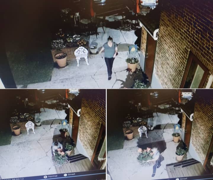 Police in Hellertown are seeking the public’s help identifying a woman caught on surveillance footage stealing a planter off a porch in Hellertown before dawn Wednesday.