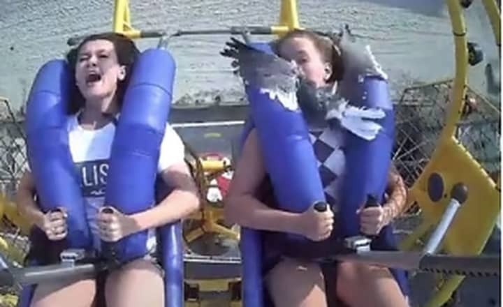 Georgia, 14, and Kiley, 13 -- who live near Weatherly, PA -- were on the SpringShot at Morey&#x27;s Piers in Wildwood on July 6 when a seagull flew directly into Kiley&#x27;s arms.