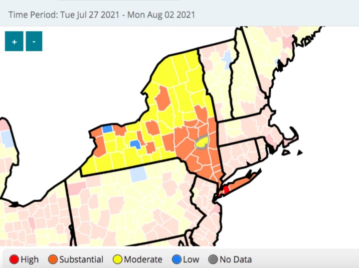 Counties in New York with “high” (dark red) and “substantial” (orange) COVID-19 transmission rates as of Wednesday, Aug. 4.