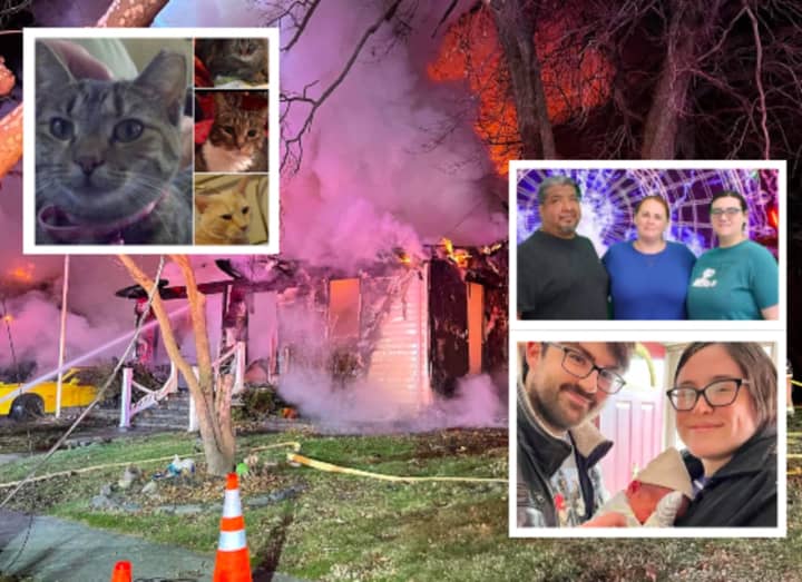 Cats lost in the fire as well as victims John Travis and his fiance Brittany, and their baby boy Jack Jack; Jamie Benckert, her daughter Samantha and boyfriend Jorge.