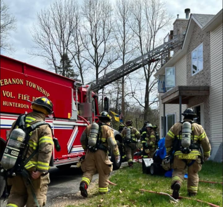 Two dogs were rescued from a Hunterdon County home that went up in flames over the weekend, authorities said.