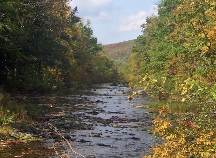Rondout Creek, near where the woman&#x27;s body was found.