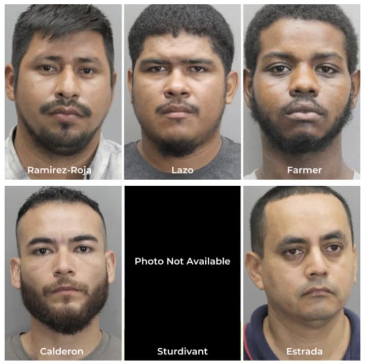 The six suspects facing charges in Fairfax County