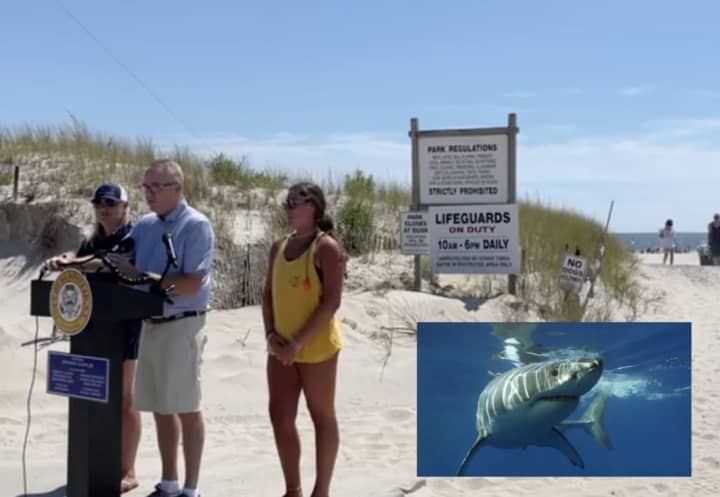 Town of Hempstead officials discuss recent shark sightings at the beach.