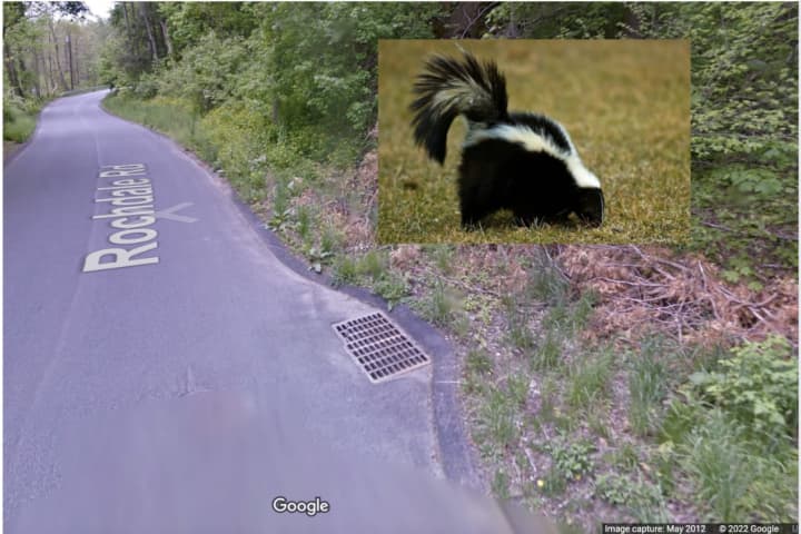 The Dutchess County Health Department is warning residents of possible rabid skunks.