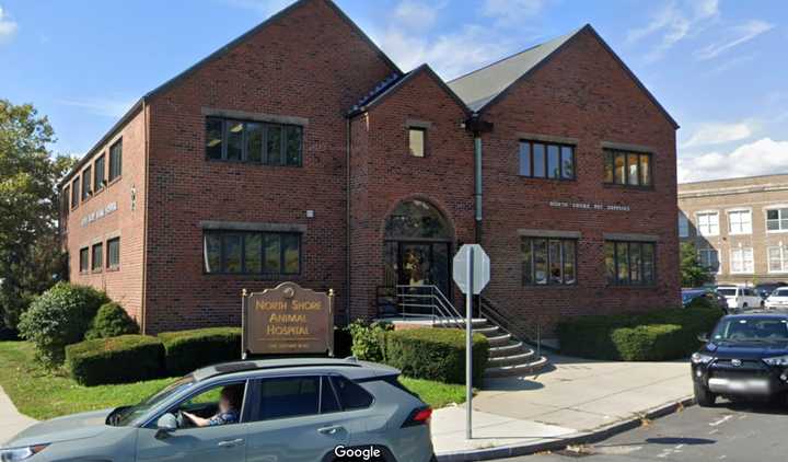 North shore deals animal clinic