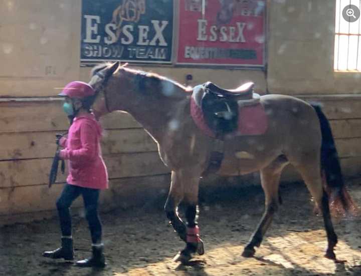 Hearts Break As North Jersey Equestrian Center Shutters South Passaic