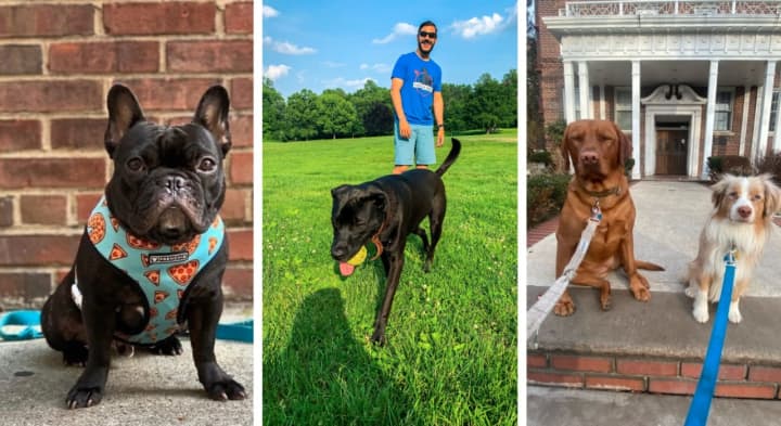 A former teacher who gave up his position to launch a dog-walking company that’s soon expanding to Monmouth County says he “always puts the pups first.”